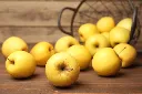 golden-delicious-apple.webp