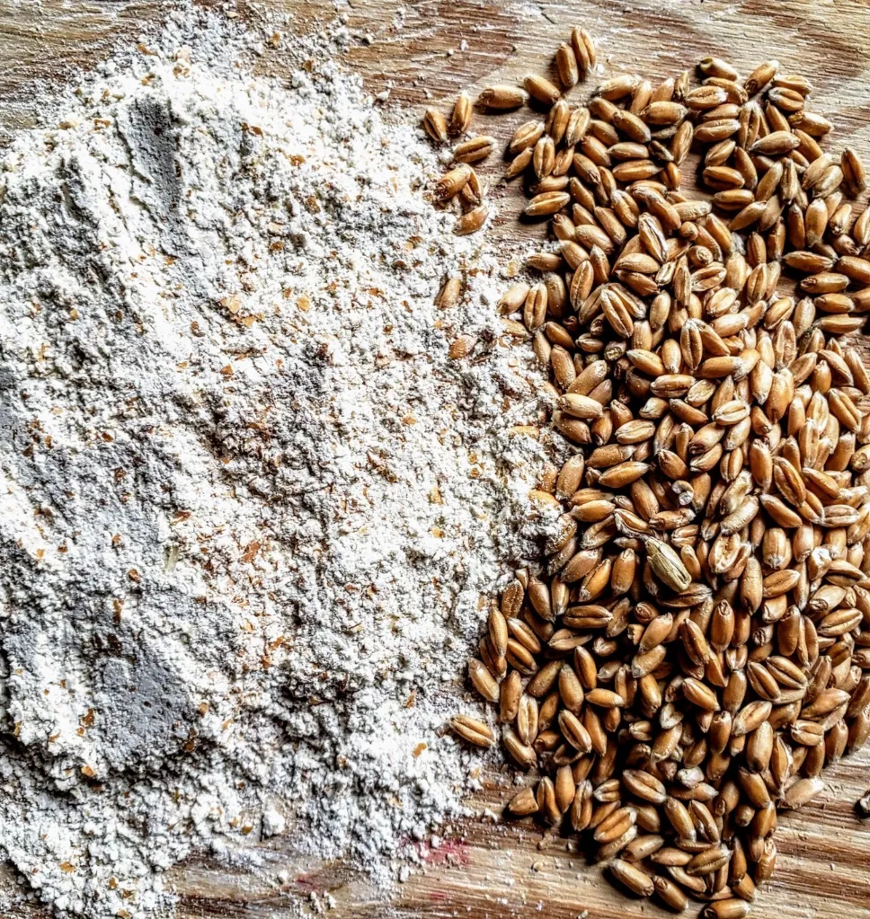 spelt2.webp