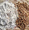 spelt2.webp