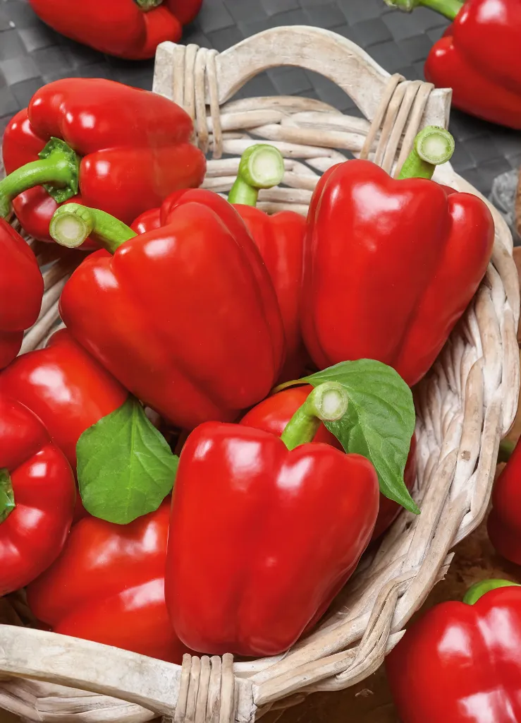 crop_PEPS0209_Sweet_Pepper_Big_Red.webp