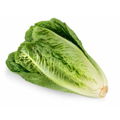 Romaine Lettuce