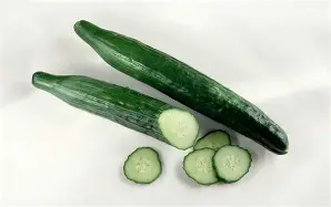 English Long Cucumber