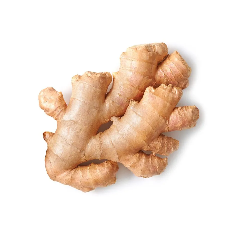 Ginger