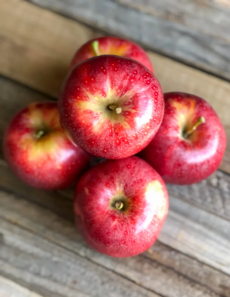 Gala Apple
