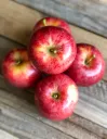 Gala Apple