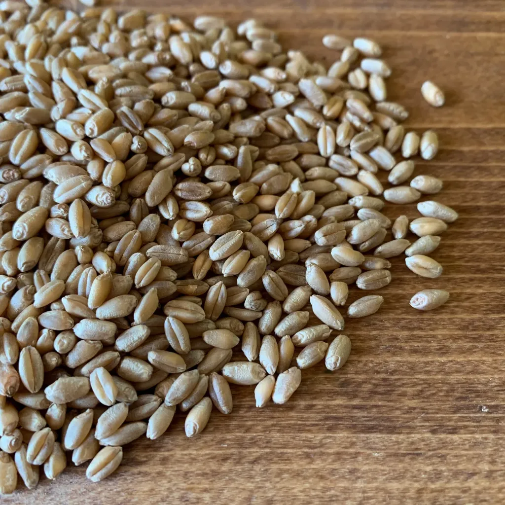 Hard White Wheat Berries