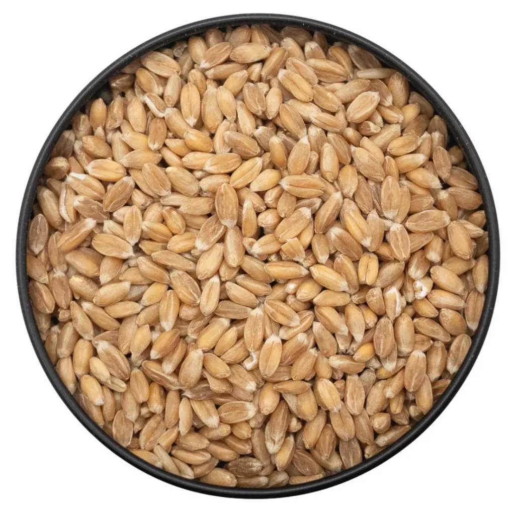 Soft White Wheat Berries 20kg