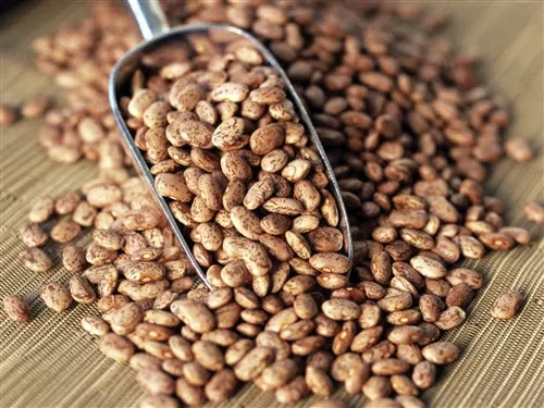 Bulk Pinto Beans 50lbs