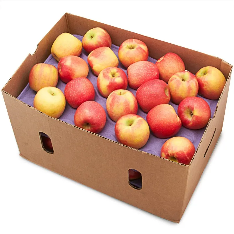 CASE Apples