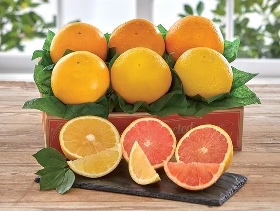 CASE Grapefruit
