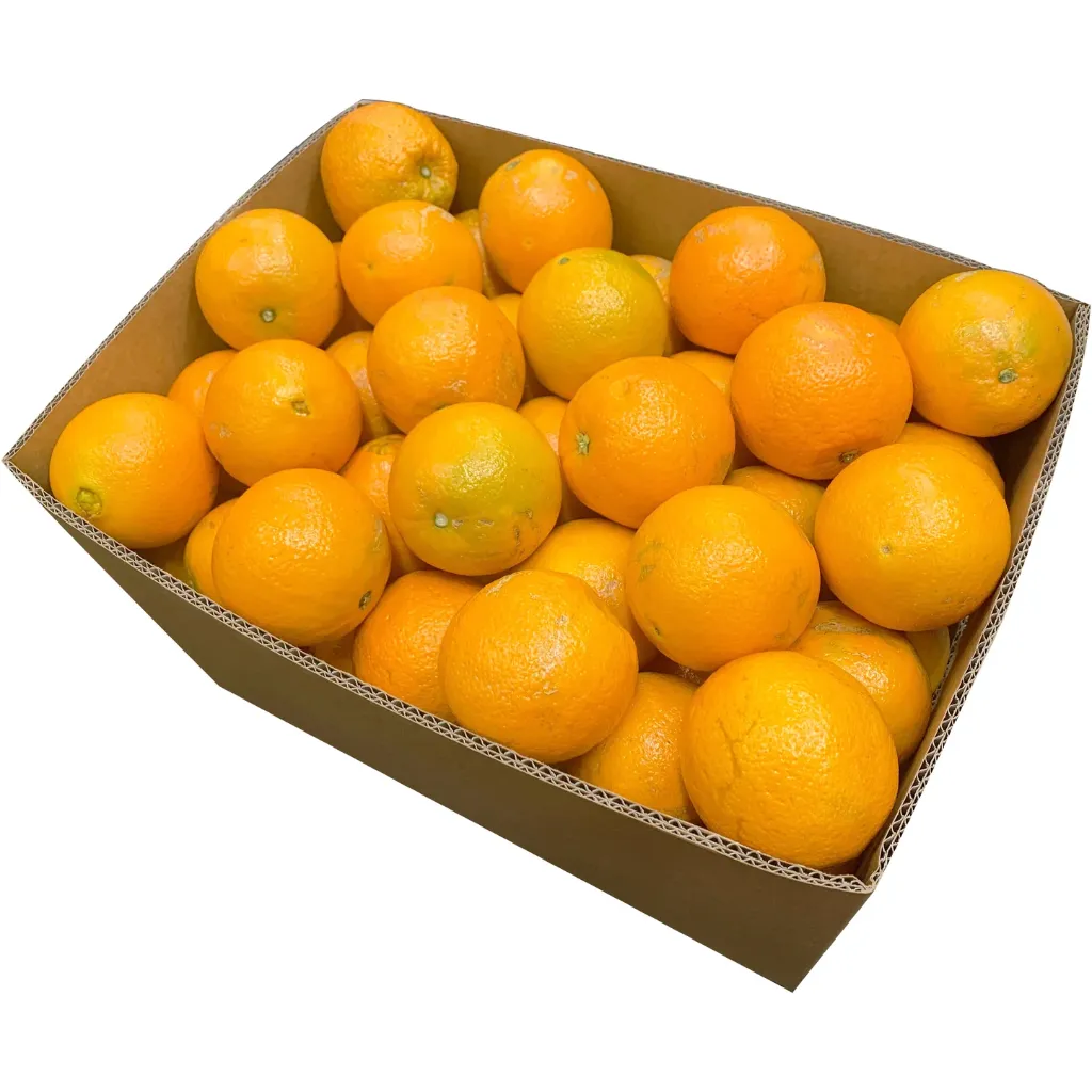CASE Naval Oranges