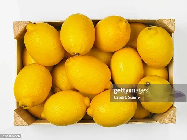 CASE Lemons