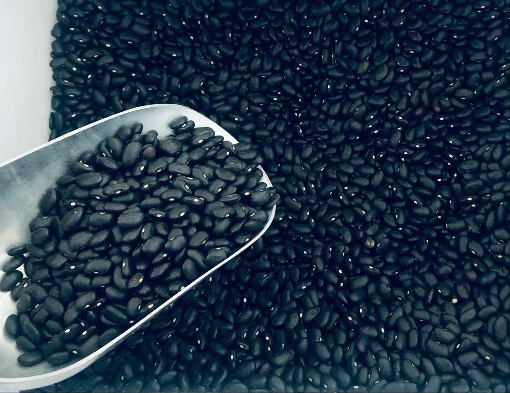 Bulk Black Beans 50lbs