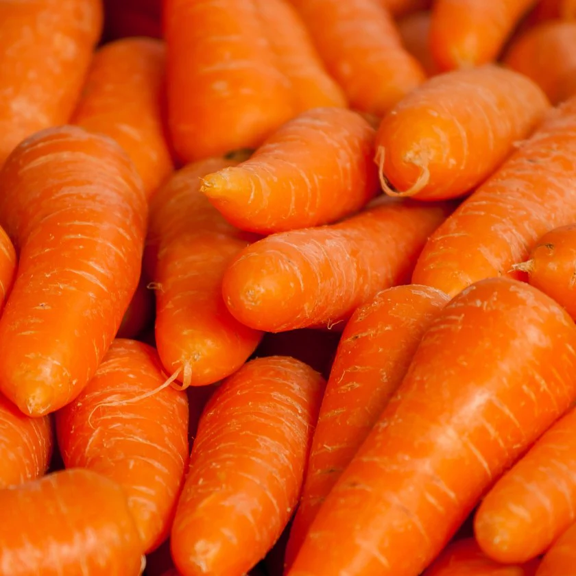BULK Jumbo Carrots 50lbs