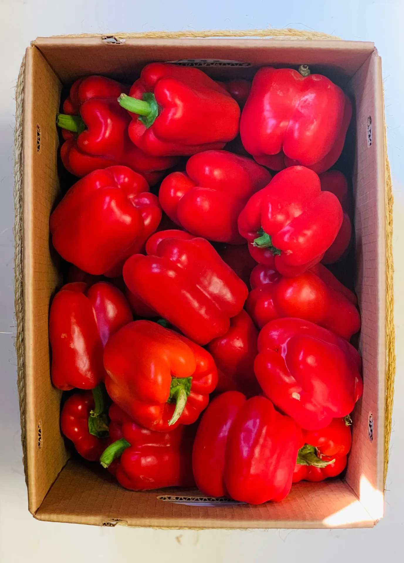 CASE Red Peppers