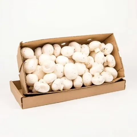 CASE Mushrooms 5lbs