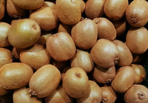 CASE Kiwi