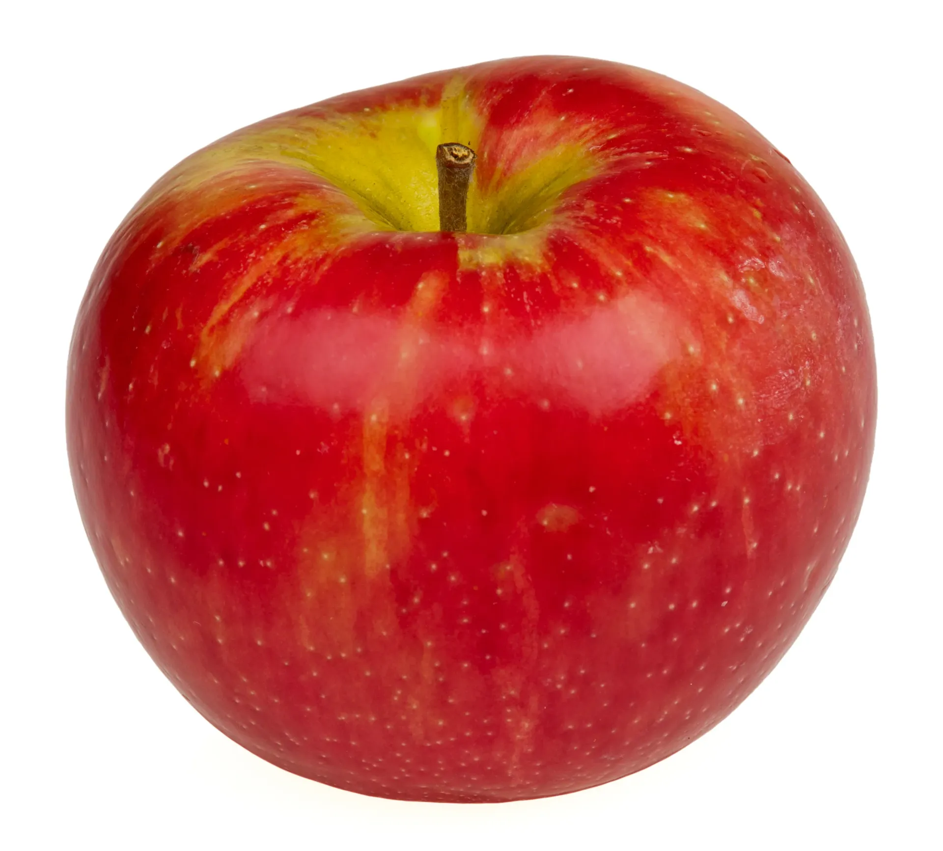 Honey Crisp Apples