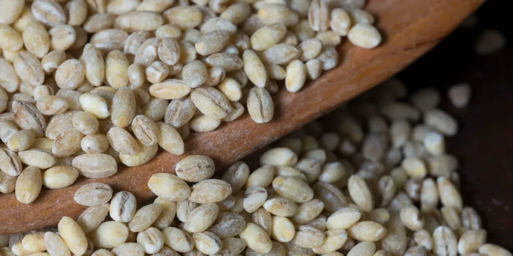 Pearled Barley 2lbs