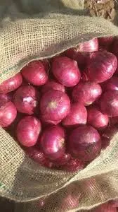 BULK Red Onions 25lbs