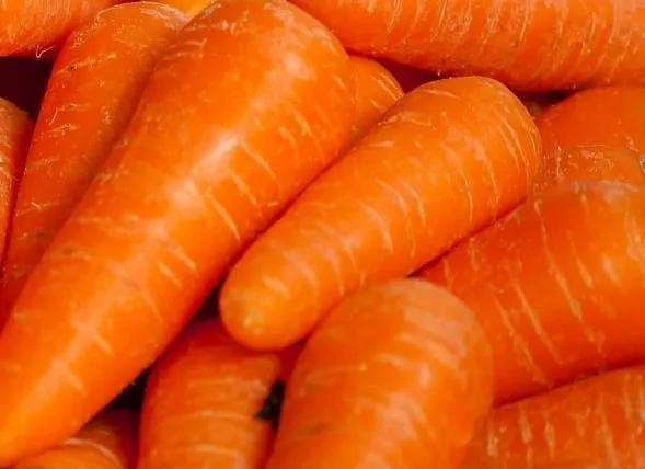 Jumbo Carrots