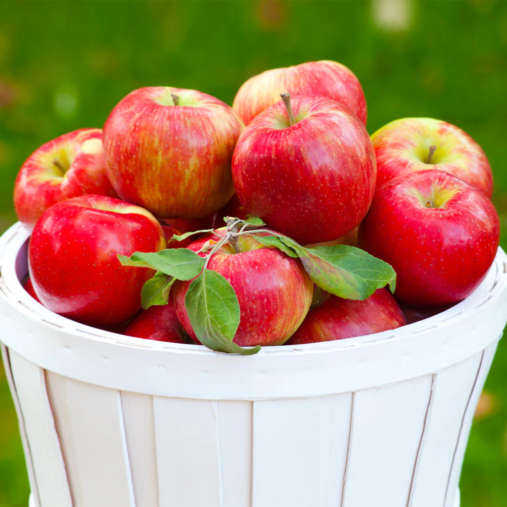 Honey Crisp Apples